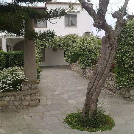 Il Merlo Anacapri  Buitenkant foto