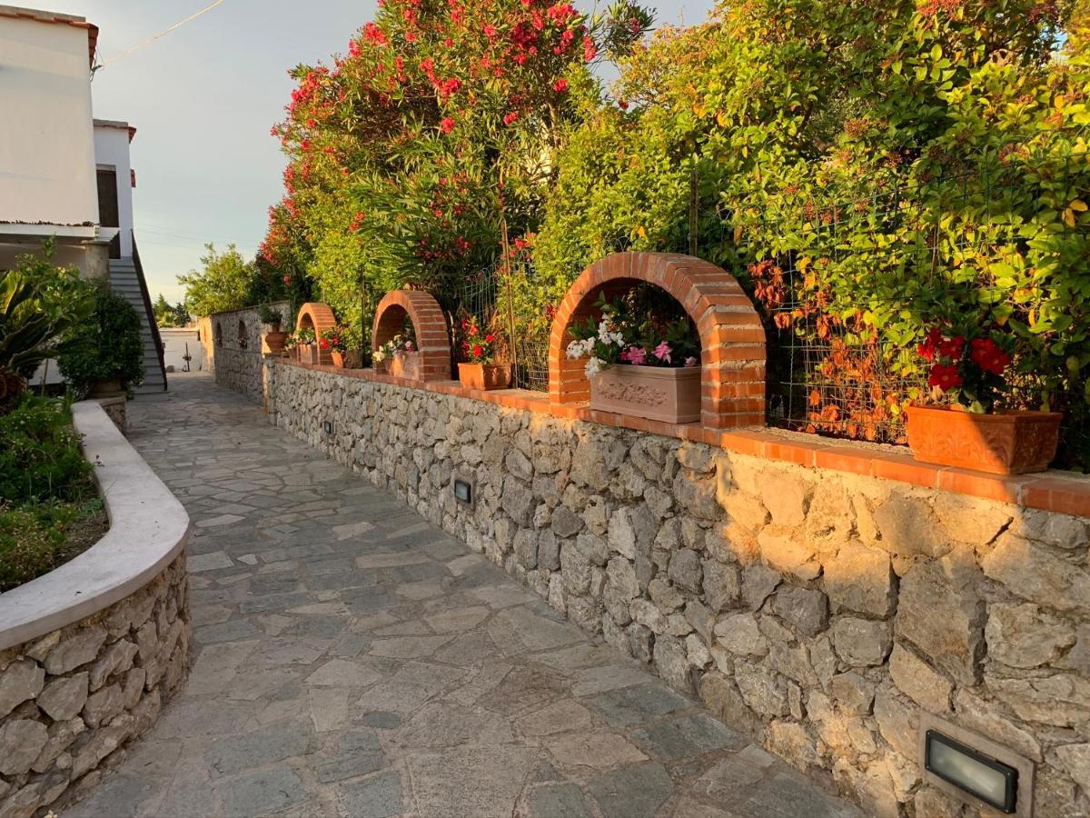 Il Merlo Anacapri  Buitenkant foto