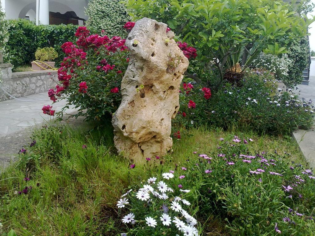 Il Merlo Anacapri  Buitenkant foto