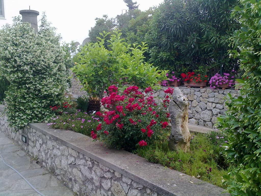 Il Merlo Anacapri  Buitenkant foto