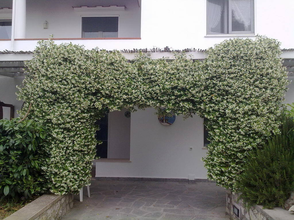Il Merlo Anacapri  Buitenkant foto
